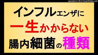 インフルエンザに一生感染しない方法4～腸内細菌の種類の秘密