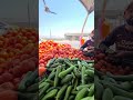 المرادية سلة العراق للمخضر بأنواعه