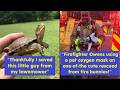 From Neglected to Loved ❤️ Amazing Animal Rescues