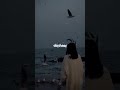 أسف مش شايف تفاصيلك أسف مش شايف تفاصيلك