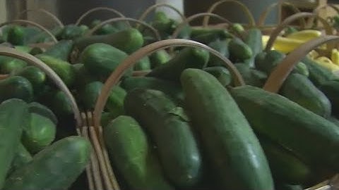 New salmonella outbreak linked to Florida grower