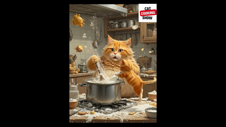 Ai, the cat is cooking,for son.