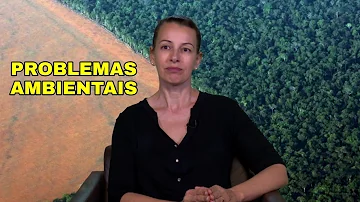 O que está ocorrendo com o meio ambiente?