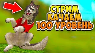 ПРОКАЧИВАЕМ 100 УРОВЕНЬ в игре WildCraft СИМУЛЯТОР ВОЛКА ПРОКАЧИВАЕМ 100 УРОВЕНЬ в игре WildCraft СИМУЛЯТОР ВОЛКА