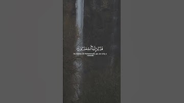 تلاوة جميلة من القرٱن الكريم #ayatulkursi #اكسبلور #islamicholybook #راحة_نفسية #quran #لايك