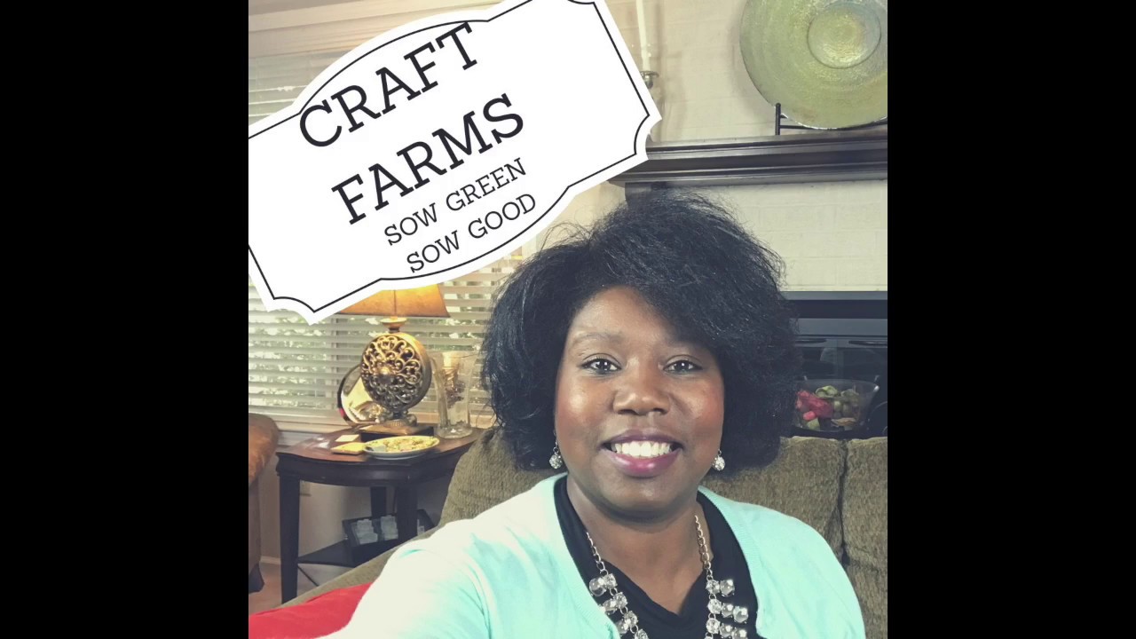 Sharing Our Journey to Craft Farms with Synolve YouTube