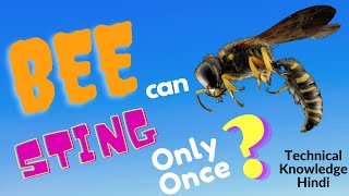 BEE STING ONLY ONCE?| KYA BEE SIRF EK BAR KAT SAKTI HAI |  TECHNICAL KNOWLEDGE HINDI | BEE STING
