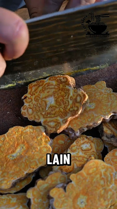 Tanaman Yang Memiliki Akar Yang Unik!