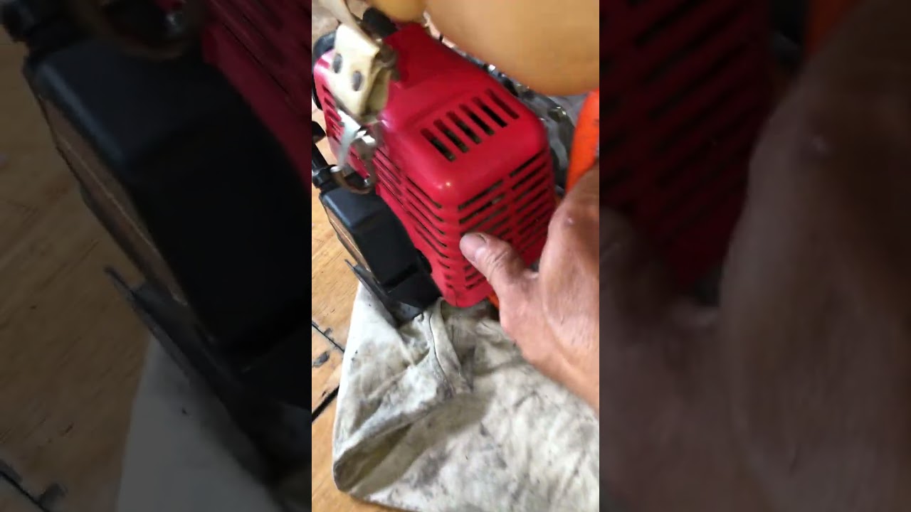 Xịt thuốc sâu vip 1tr8 lh 0904545131