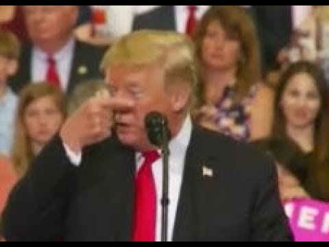 president-trump-hilarious-crying-chuck-schumer-impression