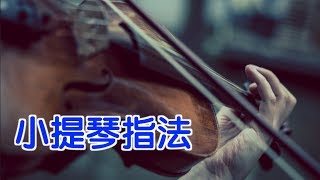 如何练习小提琴指法？|小提琴教学Violin Lessons：Proper ... 