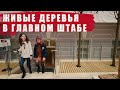 Выставка в Главном штабе Эрмитажа в Санкт-Петербурге//Живые деревья в Главном штабе//Студия 44