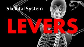 Levers | Skeletal System 09 | Anatomy & Physiology