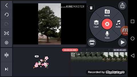 KINEMASTER How to mute or delete the original voice and Replace it with Antoher