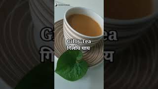 Giloy Tea | गिलोय चाय | How to make mild Giloy Tea