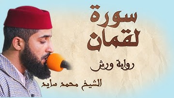 سورة لقمان | تلاوة هادئة ومتقنة للشيخ محمد سايد | برواية ورش