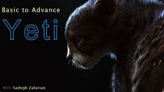 Basic to Advance Yeti course _ 01 Overview