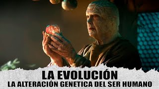 LA EVOLUCIÓN FUE ALTERADA POR UNA RAZA SUPERIOR? NUEVO DENUNCIANTE OVNI | Archivos de Divulgación