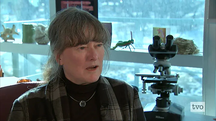 Best Lecturer 2010: Virginia Walker