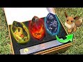 REAL LIFE POKEMON EVOLUTION STONES! - Top 10 UNUSUAL Items In My Pokemon Collection!