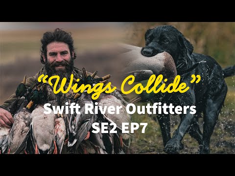 Wings Collide: Epic Lesser Goose and Duck Hunting Double Down | Swift River SE2 EP7