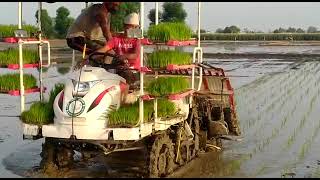 yanmar paddy transplanter (6row)