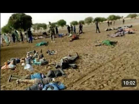 Innalillahi Yadda Yan Bindíga Suka Yiwa Matan Arewa Mummunán Hukumchi Innalillahi Yadda Yan Bindíga Suka Yiwa Matan Arewa Mummunán Hukumchi