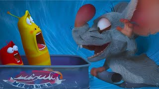 LARVA VS RAT! (ON ICE) | LARVA | Cartoons For Kids | WildBrain Fizz