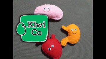 Kiwi Crate - My Body and Me - KiwiCo Unboxing 4K