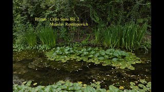 Britten : Cello Suite No. 2