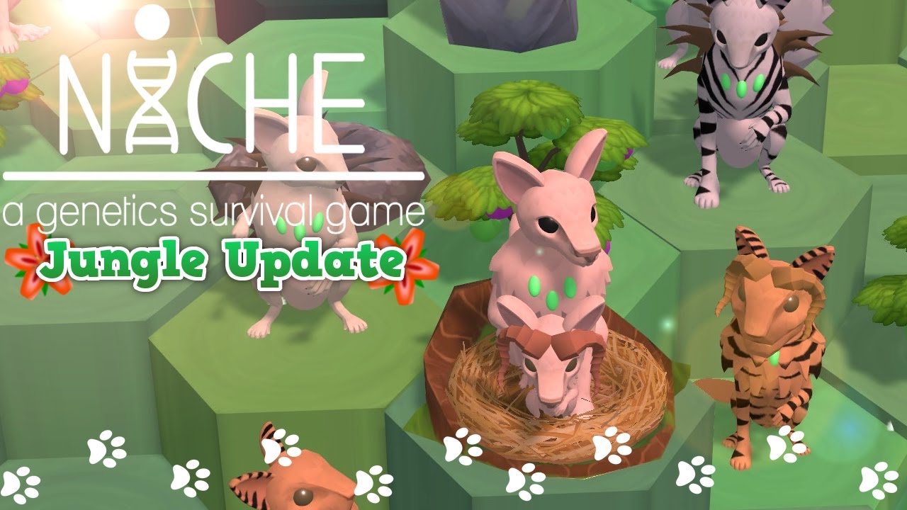 Niche Jungle Tribe | New Update!! Best.Tribe.Ever. - Ep 4