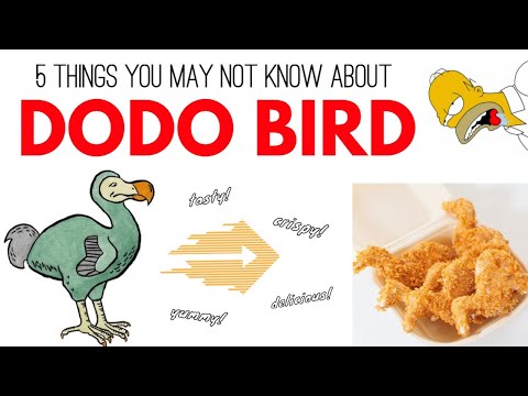 DODO BIRD에 대해 몰랐던 5가지 | 도도새