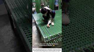 Crafting Comfort: Inside a Mattress Factory 🏭🛌