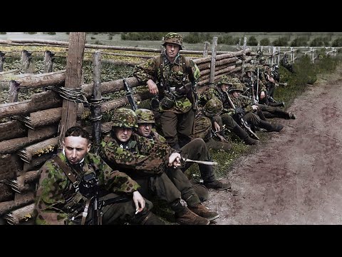 Vídeo: Kofer: home, revòlver, rifle