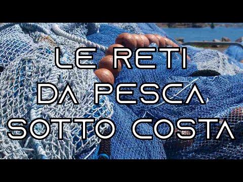 Video: Cosa Dice La Legge Sulla Pesca Ricreativa