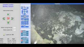 Oily Methane Bubbles