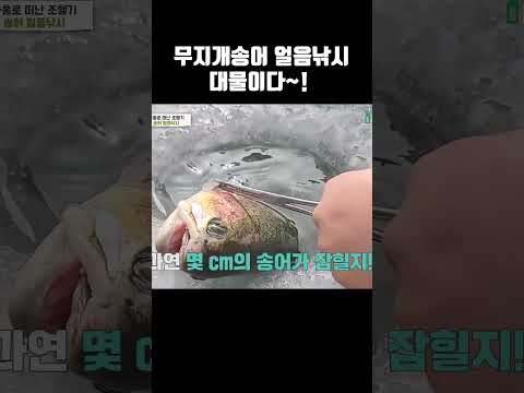 얼음 아래에서 엄청난 크기의 대물 송어가...ㄷㄷ