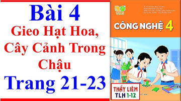 Công Nghệ Lớp 4 Bài 4 | Gieo Hạt Hoa Cây Cảnh Trong Chậu | Trang 21 – 23 | Kết Nối Tri Thức