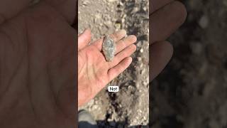 Preform or old #arrowhead #rockhounding #ancientrelics #nativeamerican #artifacts #relics #artifact