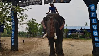 ไปรับพี่ตูเข้าบ้านกันแม่เอ้ย