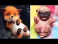 AWW Animals SOO Cute! Cute baby animals Videos Compilation cute moment of the animals #15