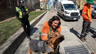 Dogs, murder memorials, rollerskates, construction workers, fire brigade & police 🐕🦮🐕‍🦺🚶🏼‍♂️🕯🛼👷‍♂️🚒🚓 by Chien Lunatique 923 views 1 month ago 3 minutes, 1 second