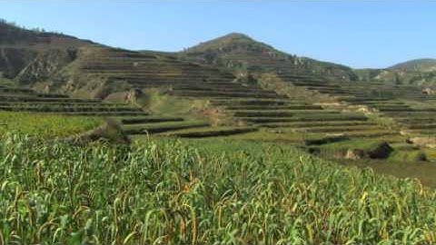 Excerpt from "Hope in a Changing Climate"