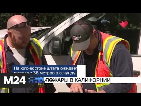 "Москва и мир": озеленение столицы и пожары в Калифорнии - Москва 24