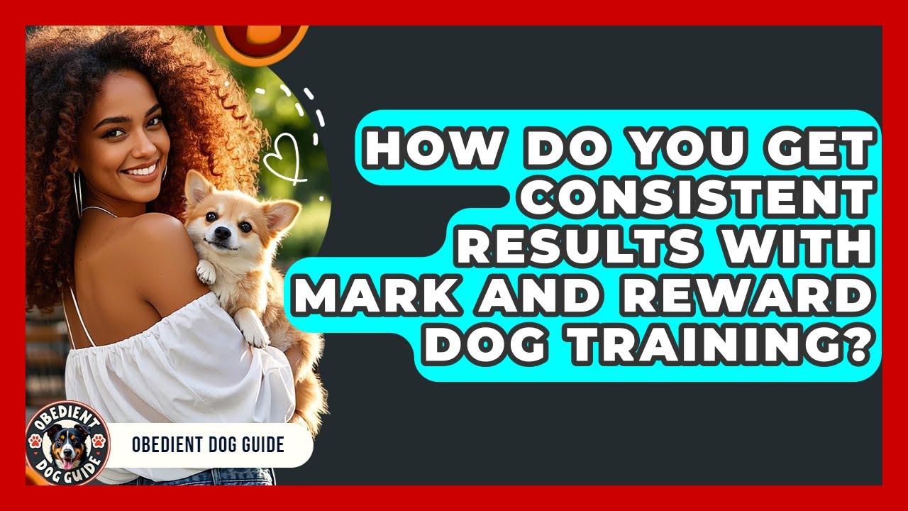 How Do You Get Consistent Results With Mark And Reward Dog Training? - Obedient Dog Guide