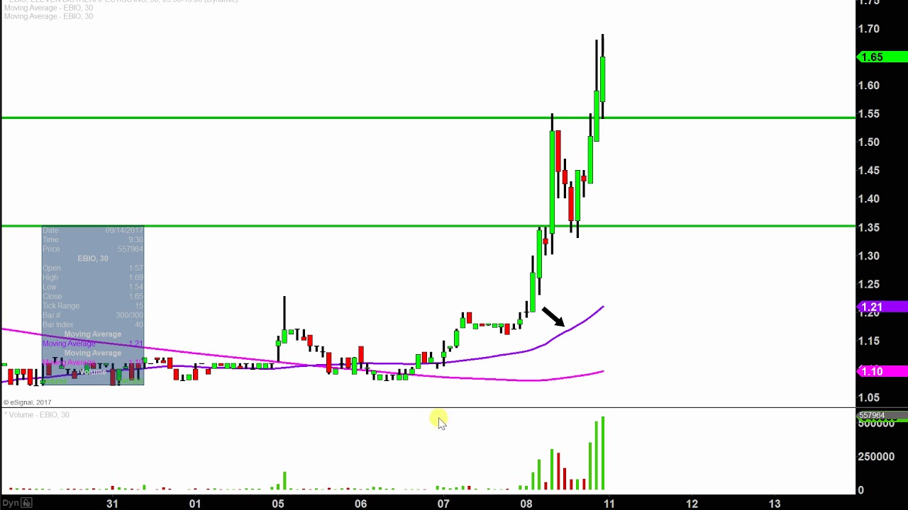 Ebio Chart