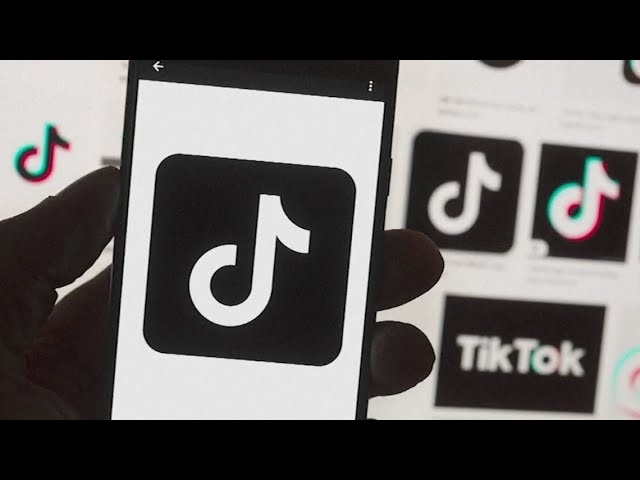 Shorts adds music video remixing as UMG goes silent on TikTok - The  Verge
