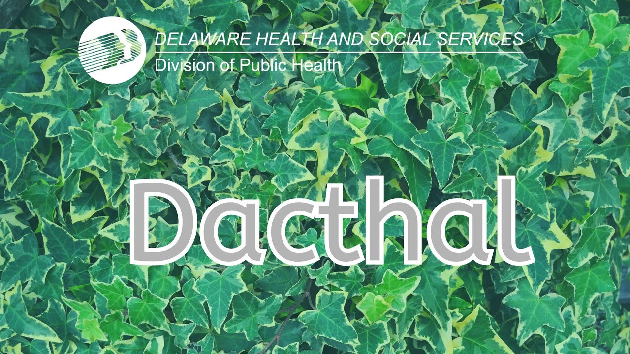Dacthal | Frequently Asked Questions - YouTube