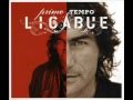 Ligabue - Viva!