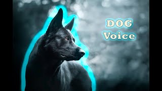 Dog Sound effect | Dog voice effect | Aggressive Dog Barking